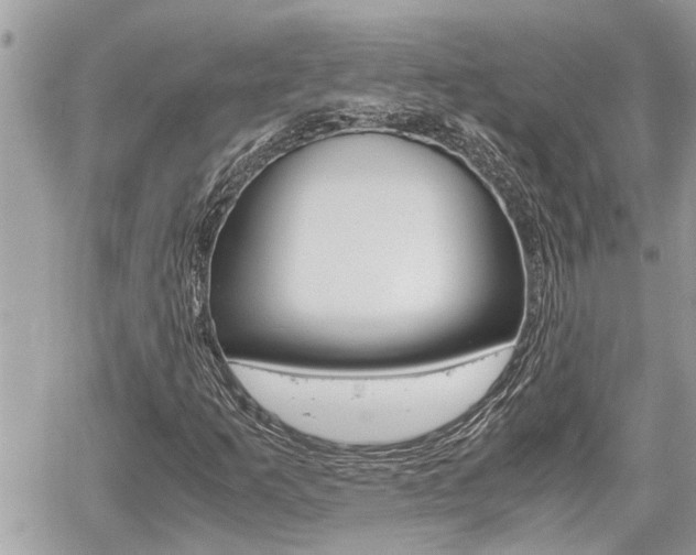 X0000060571253200511030843