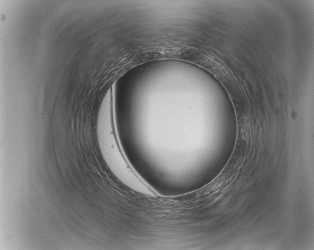 X0000060571298200511030842