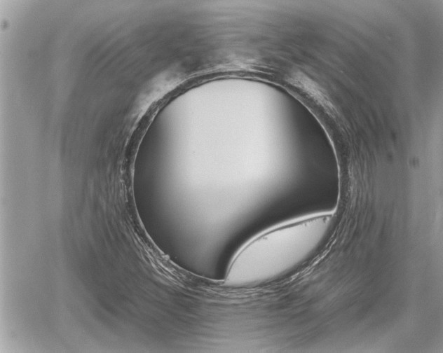 X0000060571308200511030842