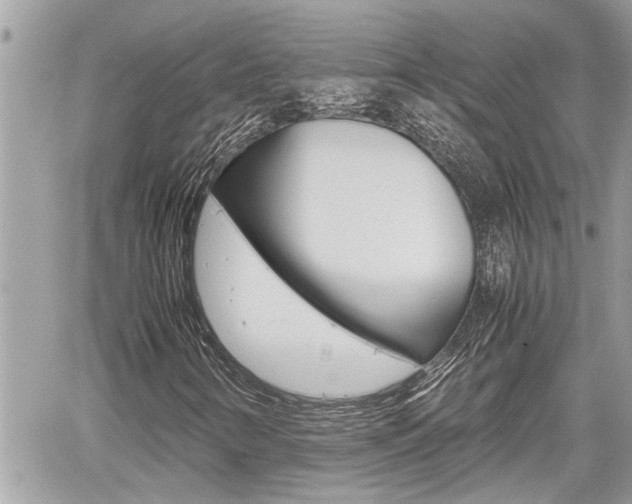 X0000060571346200511030842