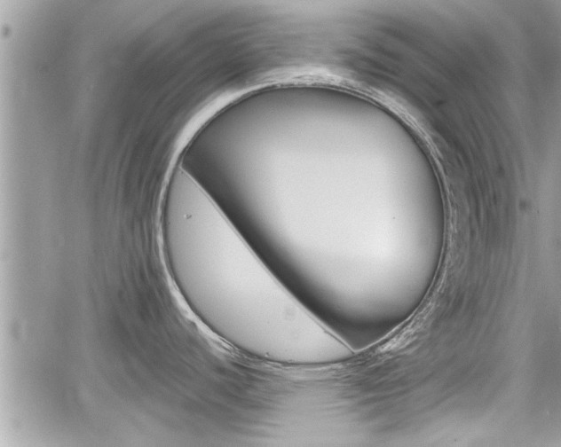 X0000060571440200511030841