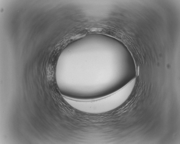 X0000060571443200511030840