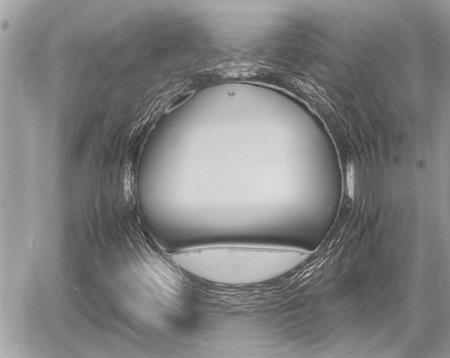 X0000060571444200511030840