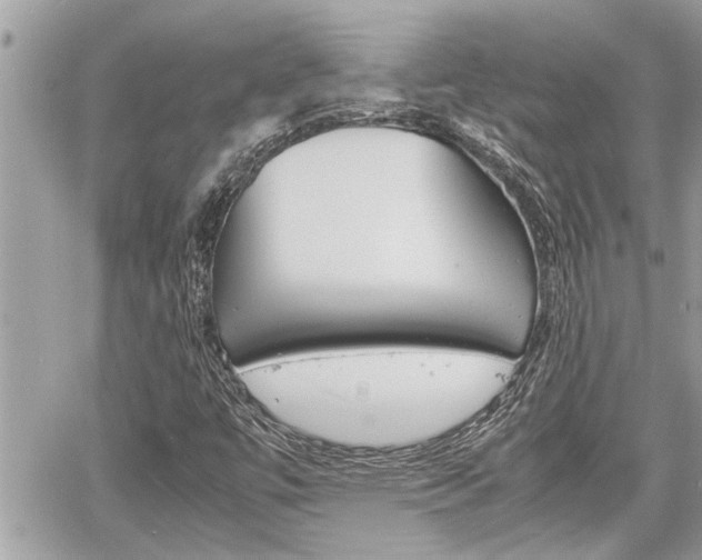 X0000060571447200511030840