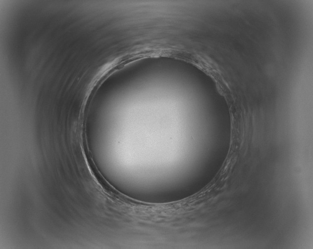 X0000060570003200511031321