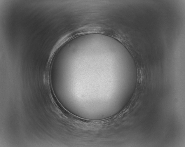 X0000060570004200511031321