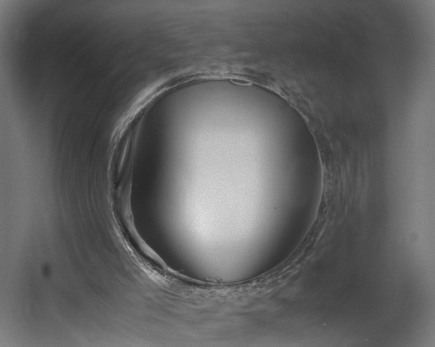 X0000060570005200511031321