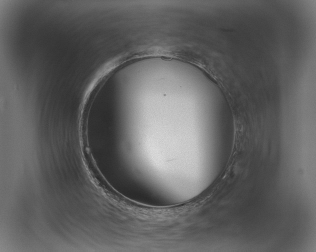 X0000060570006200511031321