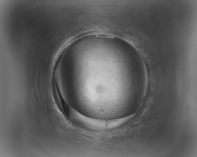 X0000060570007200511031321