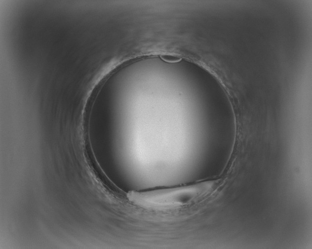 X0000060570008200511031321