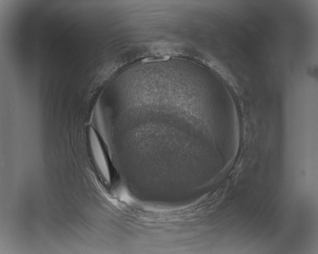 X0000060570009200511031321