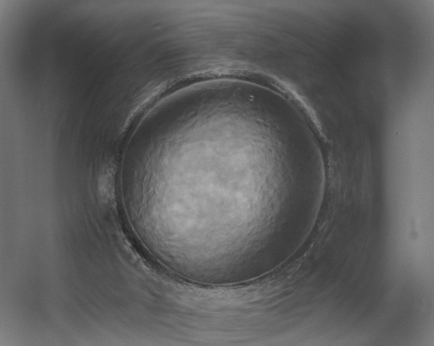 X0000060570010200511031321