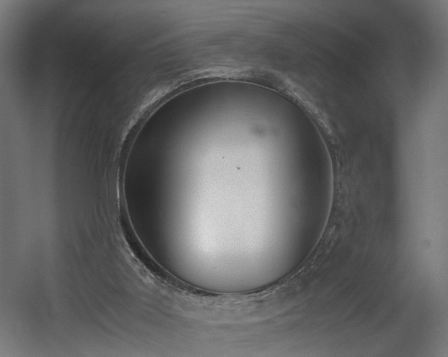 X0000060570011200511031321