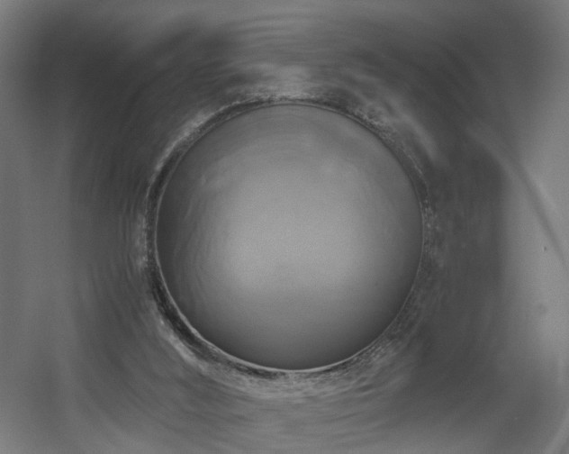 X0000060570012200511031321