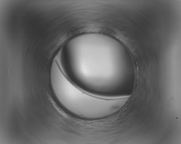 X0000060570013200511031321