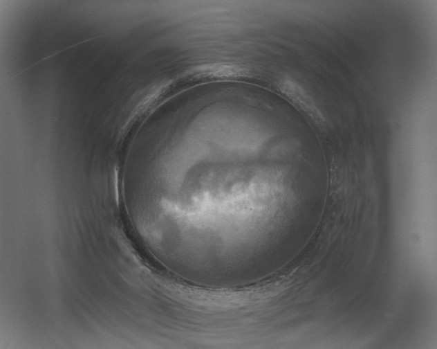 X0000060570014200511031321