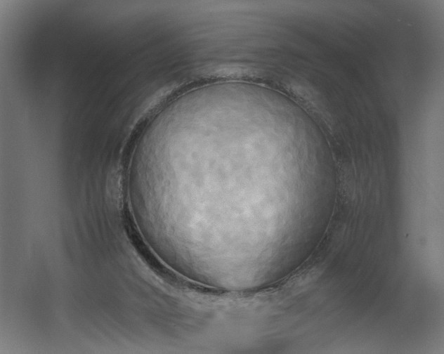 X0000060570016200511031321