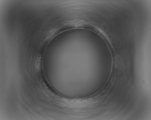 X0000060570018200511031321