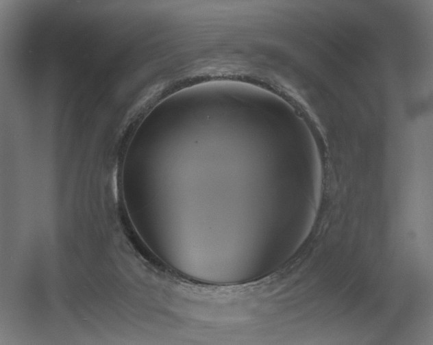 X0000060570019200511031321
