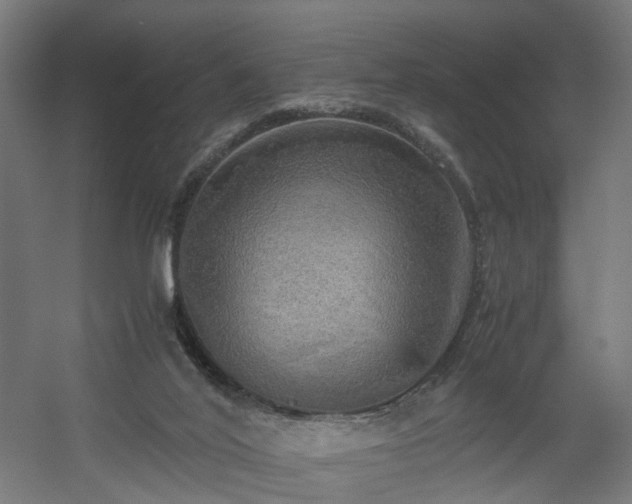 X0000060570020200511031321