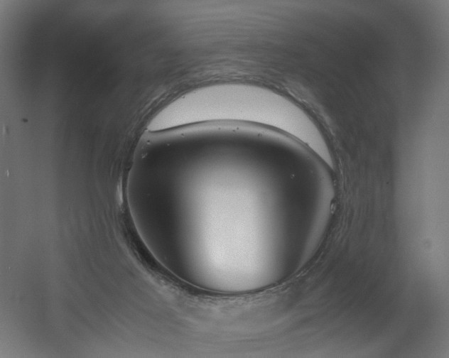 X0000060570021200511031321