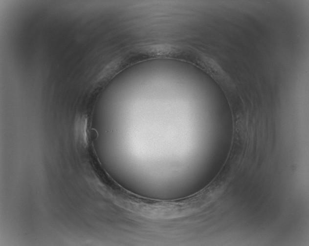 X0000060570024200511031321