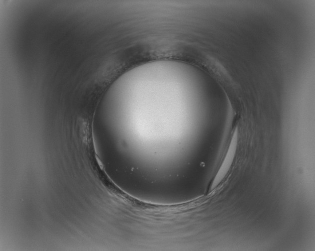 X0000060570025200511031321