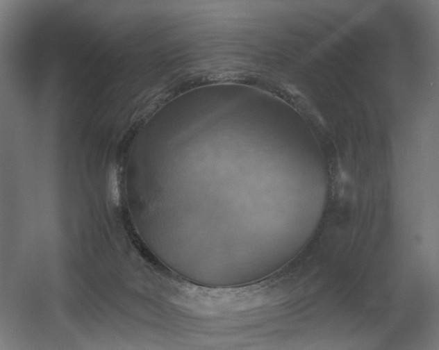 X0000060570026200511031321