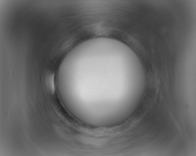 X0000060570028200511031321