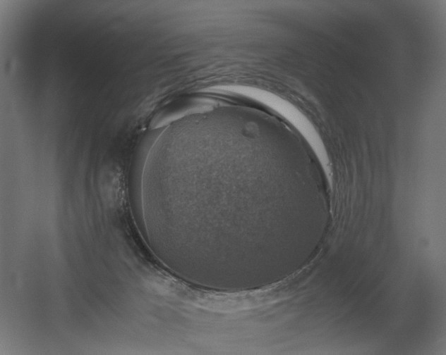 X0000060570029200511031321