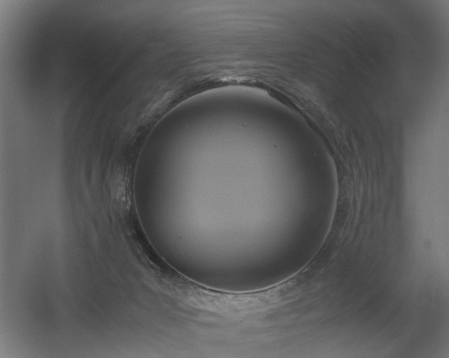 X0000060570031200511031321