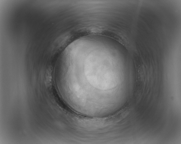 X0000060570032200511031321