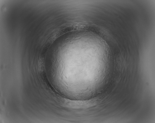 X0000060570034200511031321