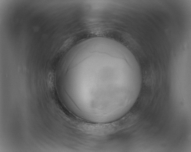 X0000060570036200511031321