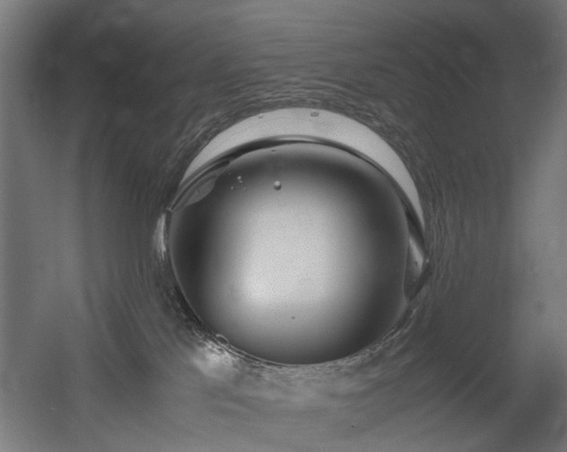 X0000060570041200511031321