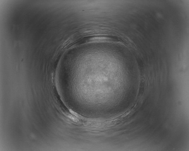 X0000060570045200511031321