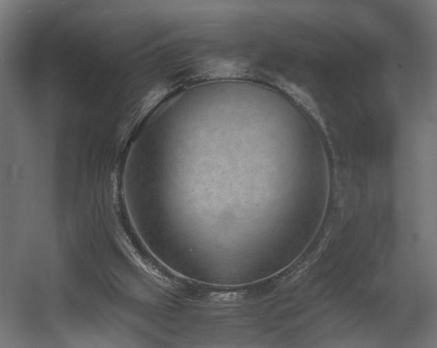 X0000060570057200511031320