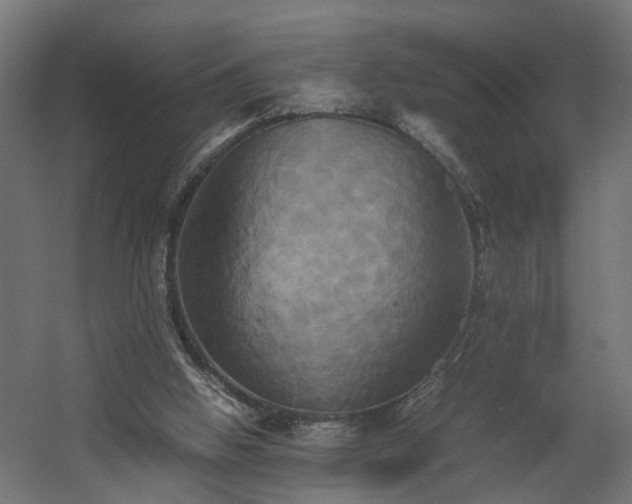 X0000060570058200511031320