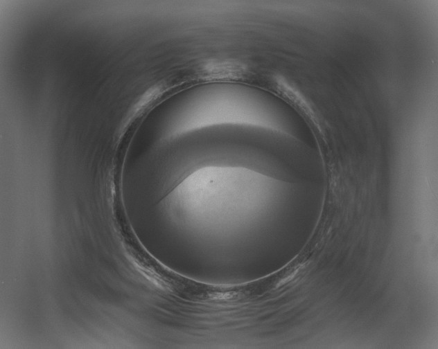 X0000060570059200511031320