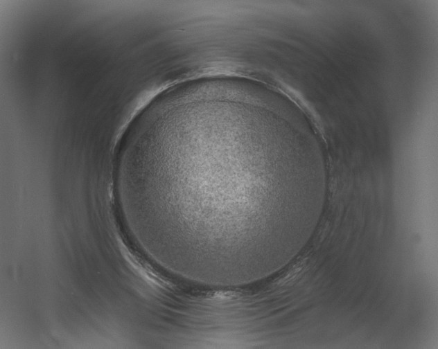 X0000060570060200511031320