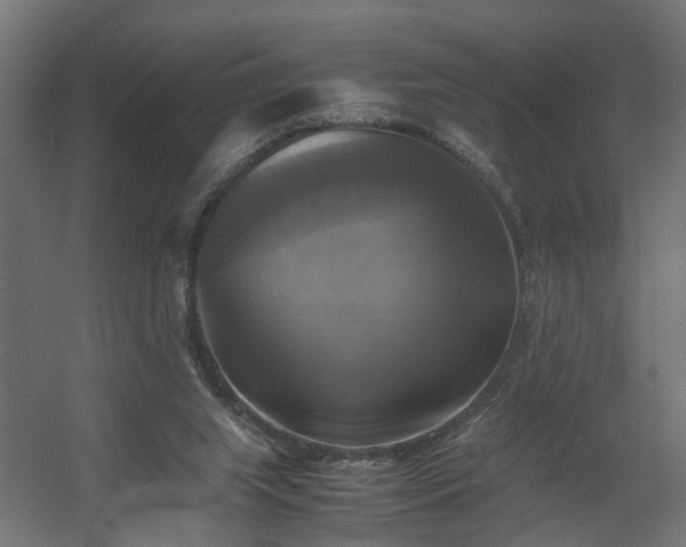 X0000060570063200511031320