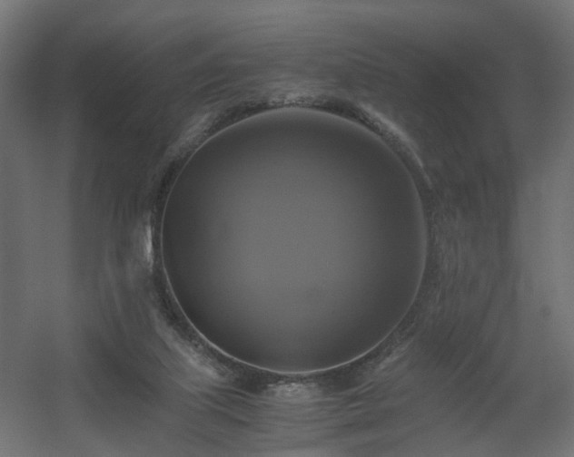 X0000060570067200511031320