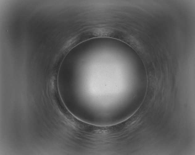 X0000060570071200511031320