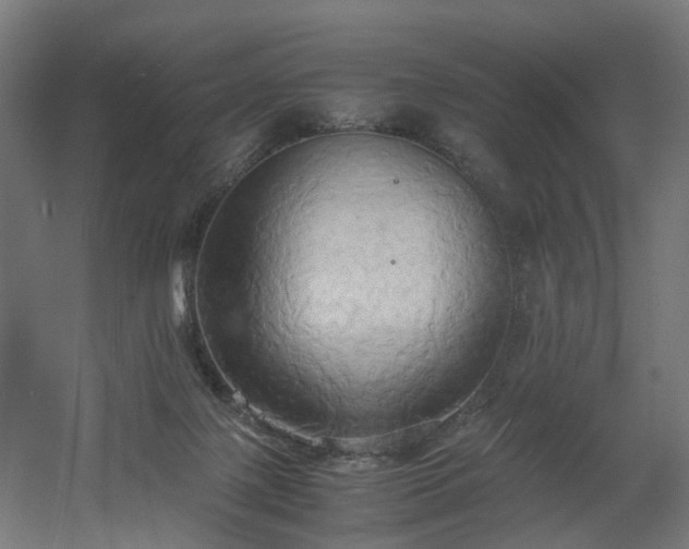 X0000060570075200511031320