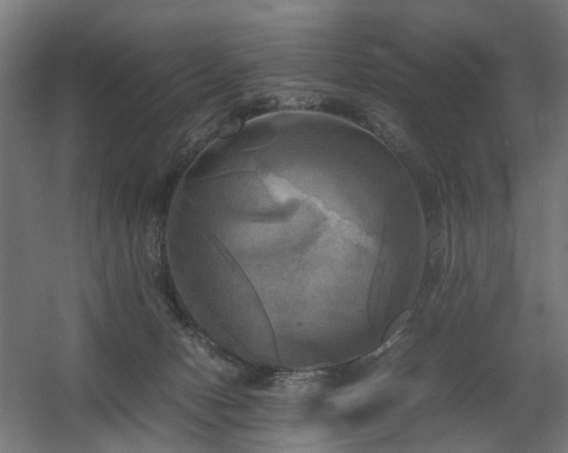 X0000060570078200511031320