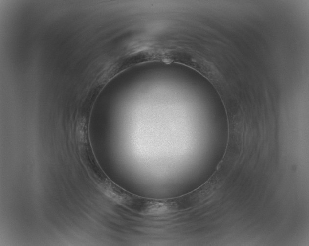 X0000060570083200511031320