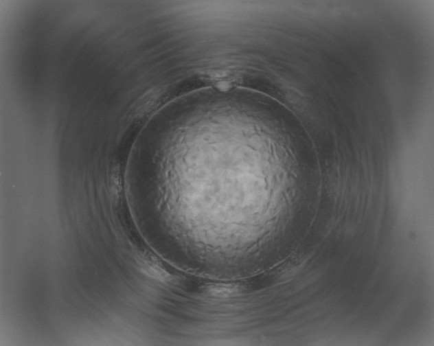 X0000060570085200511031320