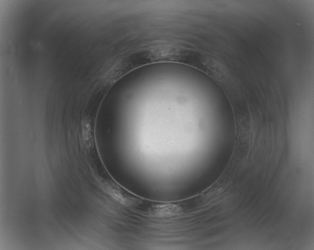 X0000060570087200511031321