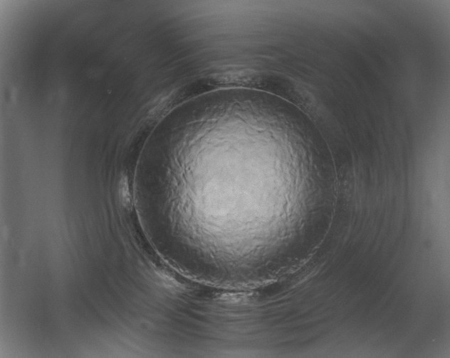 X0000060570089200511031321