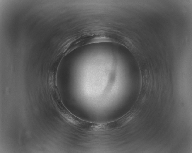 X0000060570092200511031321